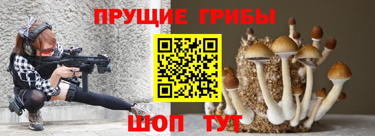 Псилоцибиновые грибы GOLDEN TEACHER  даркнет сайт  Нижний Тагил  Вход с VPN 